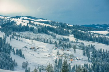 Dağlarda yeni yıl karı, dağların ve ağaçların güzel manzarası dallar ve kış havası.