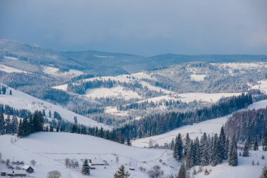 Dağlarda yeni yıl karı, dağların ve ağaçların güzel manzarası dallar ve kış havası.