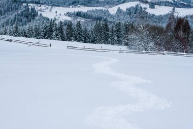 Dağlarda yeni yıl karı, dağların ve ağaçların güzel manzarası dallar ve kış havası.