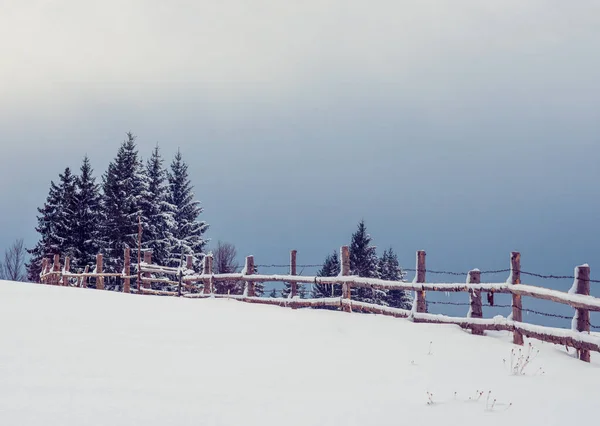 Neujahr Schnee Den Bergen Schöne Aussicht Auf Die Berge Und — Stockfoto