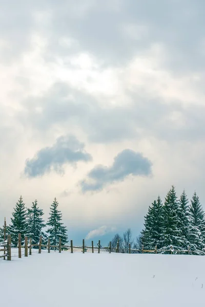 Nieuwjaar Sneeuw Bergen Prachtig Uitzicht Bergen Bomen Takken Winterlucht — Stockfoto