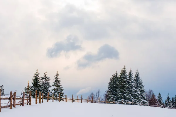 Nowy Rok Śnieg Górach Piękne Widoki Góry Gałęzie Drzew Zimowe — Zdjęcie stockowe