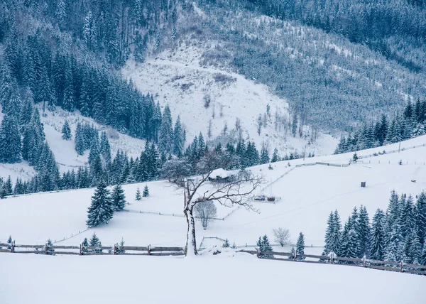 Nouvel Neige Dans Les Montagnes Belle Vue Sur Les Montagnes — Photo