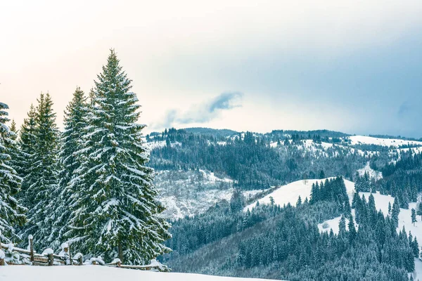 Nouvel Neige Dans Les Montagnes Belle Vue Sur Les Montagnes — Photo