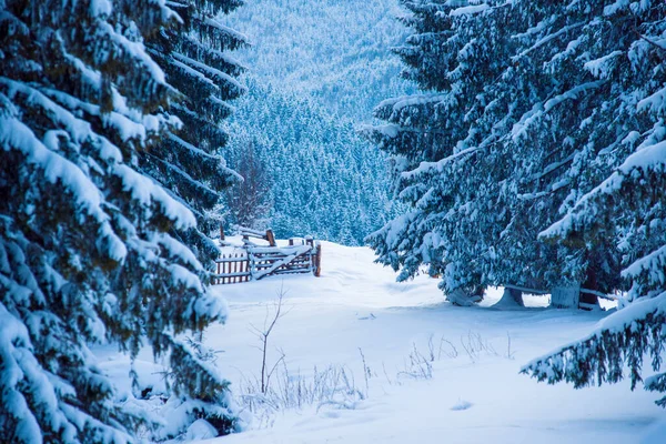 Año Nuevo Nieve Las Montañas Hermosas Vistas Las Montañas Los — Foto de Stock