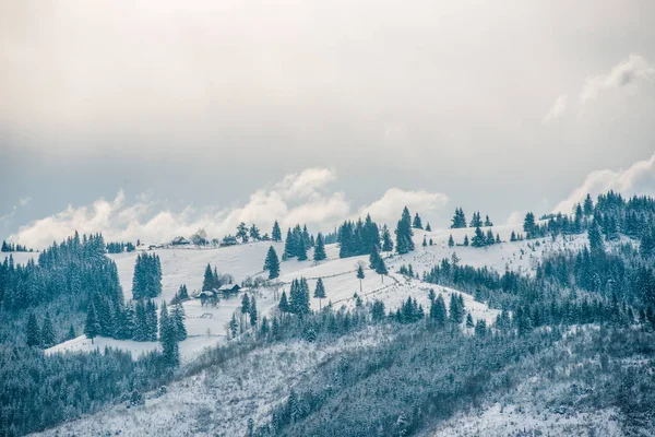 Neujahr Schnee Den Bergen Schöne Aussicht Auf Die Berge Und — Stockfoto