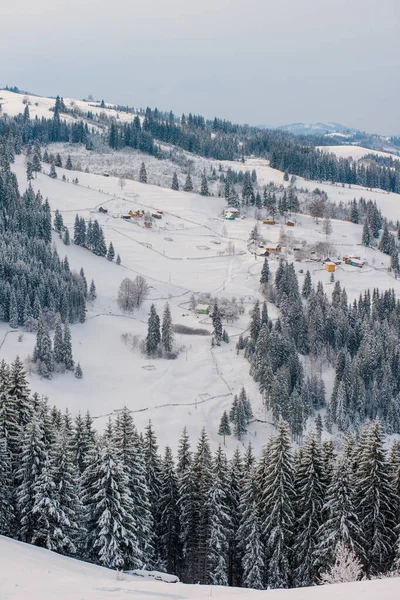 Ano Novo Neve Nas Montanhas Belas Vistas Das Montanhas Árvores — Fotografia de Stock