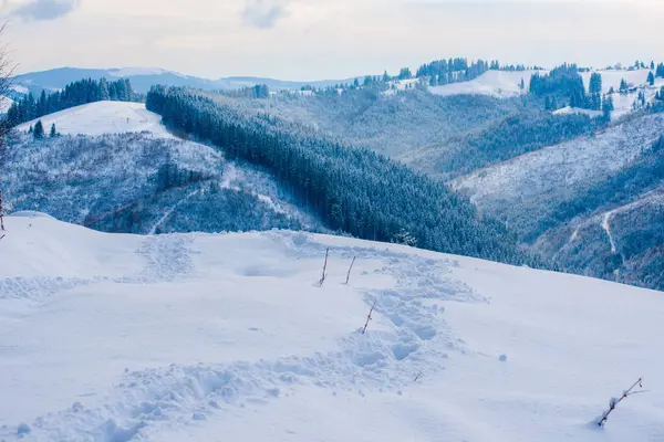 Νέο Έτος Χιόνι Στα Βουνά Όμορφη Θέα Των Βουνών Και — Φωτογραφία Αρχείου