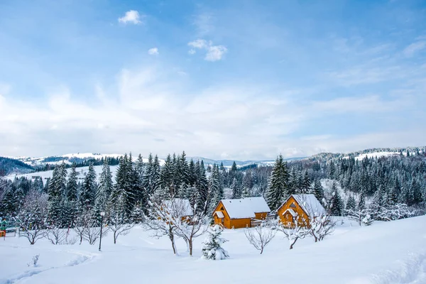 Montagnes Hiver Station Silence Belle Vue Air Frais — Photo