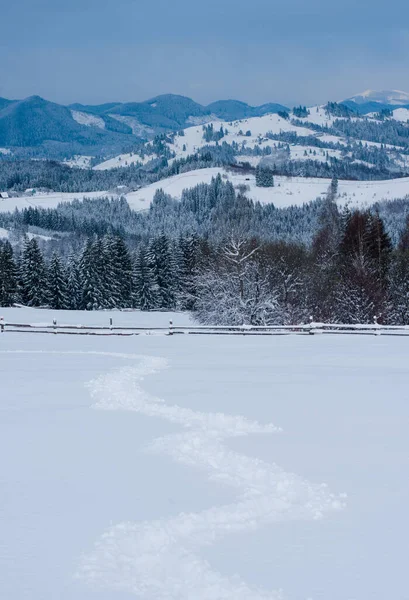 Ano Novo Neve Nas Montanhas Belas Vistas Das Montanhas Árvores — Fotografia de Stock