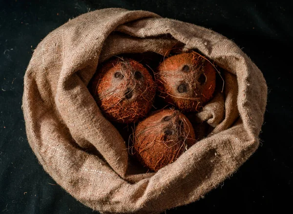 Coconuts Naturally Burlap Fresh Tree — 图库照片