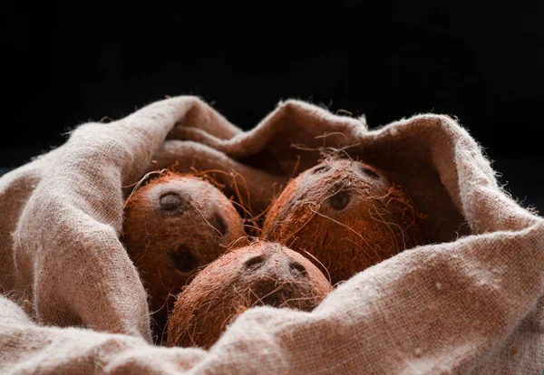 Coconuts Naturally Burlap Fresh Tree — 图库照片