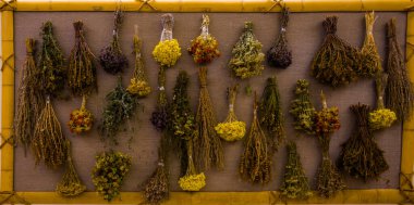 Değişik tip ve boyutlarda banyo süpürgeleri.