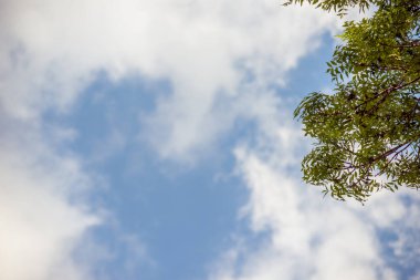 Bulutlar, ağaçlar, su ve toprak gibi güzel manzaralar.