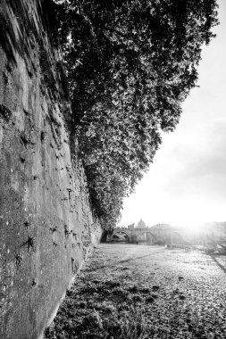 Büyük bir taş duvarın yakınındaki ağaçlardan ve çiçeklerden sarkan yapraklar