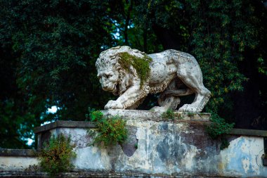 Taş aslan mermer aslan heykeli çok güzel.