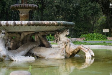 Bir kase suyun üzerinde at şeklinde antik bir çeşme işi.