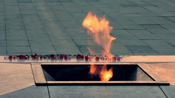 Eternal flame war memorial — Stockvideo