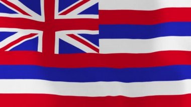 Loopable: Hawaii bayrak