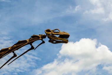 dinozor baş model mavi gökyüzü ile