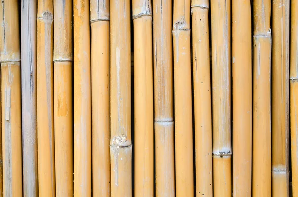 Latar belakang tekstur dinding bambu — Stok Foto