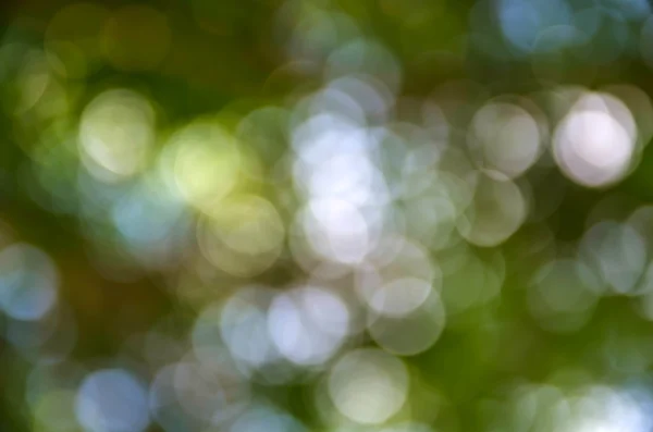 Fundo bonito bokeh verde . — Fotografia de Stock