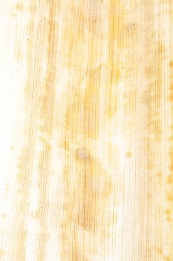 Desen coco palm yaprak kurutulmuş