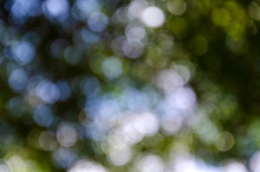 Cavador de tierra masivo