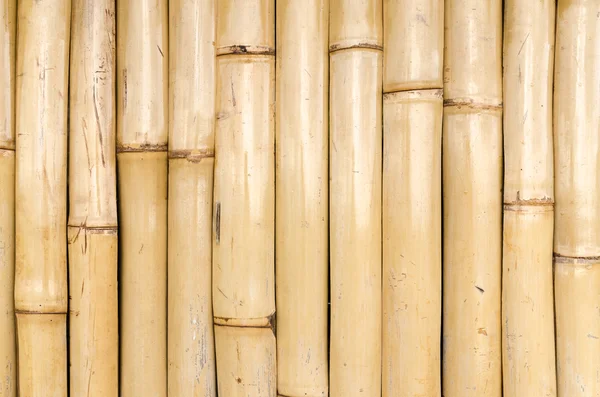 Bamboo fence background — Stock Photo, Image