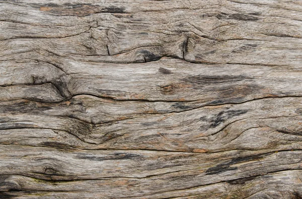 Textura de la madera de corteza, fondo natural —  Fotos de Stock