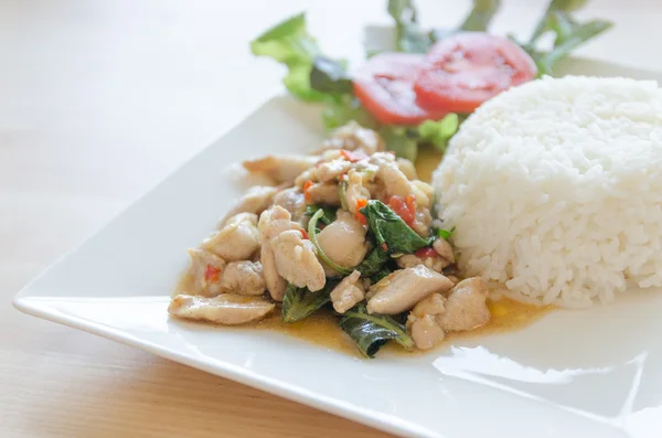 Thai food, chicken fried with hot basil and rice on plate — Stock Photo, Image