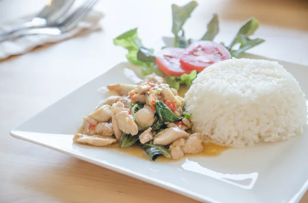 Thai food, chicken fried with hot basil and rice on plate — Stock Photo, Image