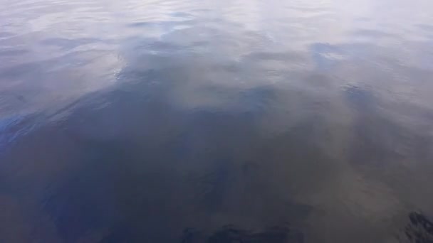 Estação Outono Rio Ondas Água Natureza Bela Bela Vista — Vídeo de Stock