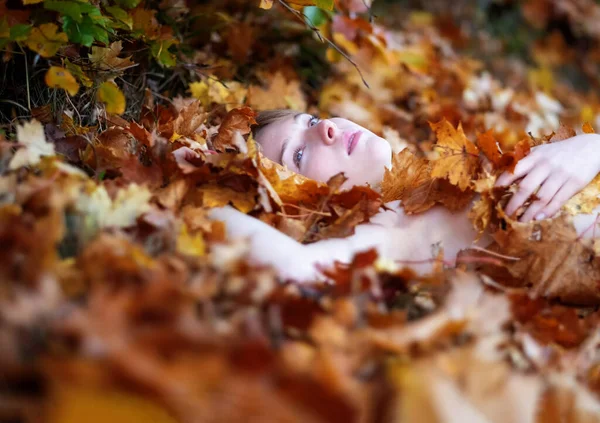 黄金の秋の葉の上に横たわる美しいセクシーな美しい若い女性の肖像画 黄色と赤の秋の葉で覆われ 公園で 顔に優しい笑顔で スペースをコピーします — ストック写真