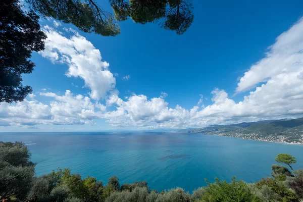 Széles Látószögű Lövés San Recco Tengerre Néző Liguria Partján Kilátással — Stock Fotó