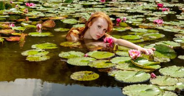 Güzel, genç, seksi, kızıl saçlı kadın denizkızı suda, gölde, pembe nilüferlerle, kopyalama alanlarında şehvetle ve baştan çıkarıcı bir şekilde esniyor.