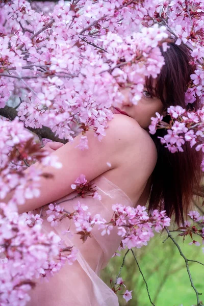 官能的 魅惑的 セクシーなの肖像画 若いです ピンクの花の木の花のピンクのドレスのブルネットの女性4月に目覚めのピンクの花 コピースペース — ストック写真