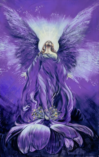 Величественный Фиолетовый Фиолетовый Ангел Любви Цветке Лотоса Смотрит Вверх Сиянии — стоковое фото