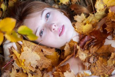 Kırmızı altın sonbahar yaprakları üzerinde uzanan güzel, seksi, genç, kızıl saçlı kızın portresi, kırmızı ve turuncu sonbahar yapraklarıyla kaplı.