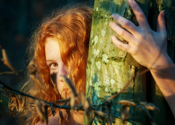 Портрет Красивої Сексуальної Молодої Жінки Руда Обіймає Стовбур Дерева Лісі — стокове фото