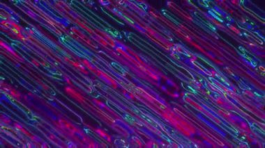 Neon dalgalı çizgiler gökkuşağı gradyanı. Holografik yanardöner soyut arkaplan. Mavi mor pembe yeşil renk. Psikedelik hareket. Renkli gökkuşağı boyası