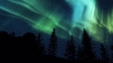 Gerçekçi gerçek zamanlı kuzey ışıkları Kutup Işıkları Aurora Borealis ormanda ağaçların üzerinde dans ediyor. Arktik renkli gökyüzü ufukta görünüyor. Bulutsuz gece