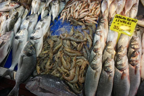 Türkçe fiyat etiketli çeşitli taze deniz balığı ve karideslere yakın çekim. İstanbul, Türkiye 'deki balık pazarı