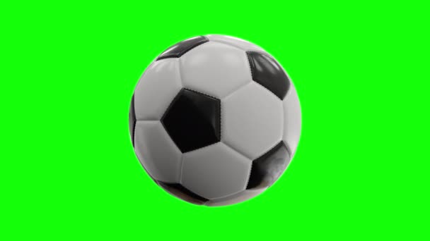 Soccer ball rotating 360. Realistic 3D animation seamless loop. Green screen chroma key background. Perfect for Sport news or sports advertising. Black and white football. Slow Motion — Stockvideo