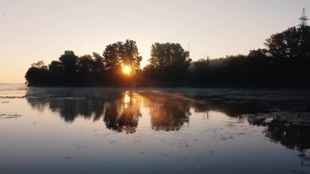 湖や川の上に美しい日の出。太陽光線は木を通過し、水に反映されます。水面を飛んでいる。朝の霧と霞 — ストック動画