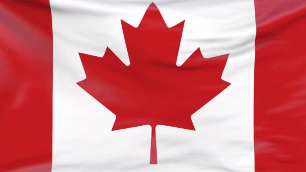 Canadian flag waving continuously in the wind. National flag of Canada fabric surface background. Seamless loop 3D animation. For news, Independence Day, elections, politics show, Presidents Day Royalty Free Stock Footage