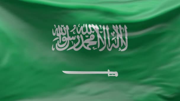 사우디 아라비아 국기가 바람에 흔들리고 있습니다. 실제 바다없는 고리 애니메이션 배경. 소디의 국기 야. 카사의 신호 야. 뉴스, 독립기념일, 정치 쇼, 대통령 날 — 비디오