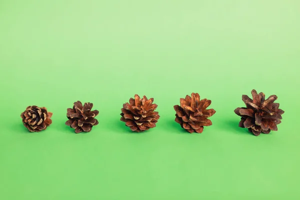 Five Pine Cones Green Background Morphing Disclosure — Stock Photo, Image