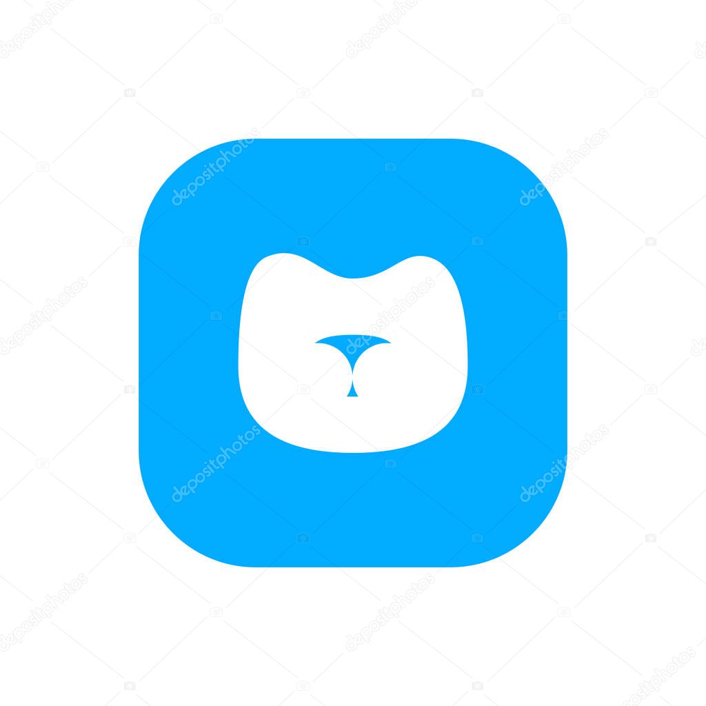 Vector stylized muzzle of a cat in the form of an app icon. Kitty face
