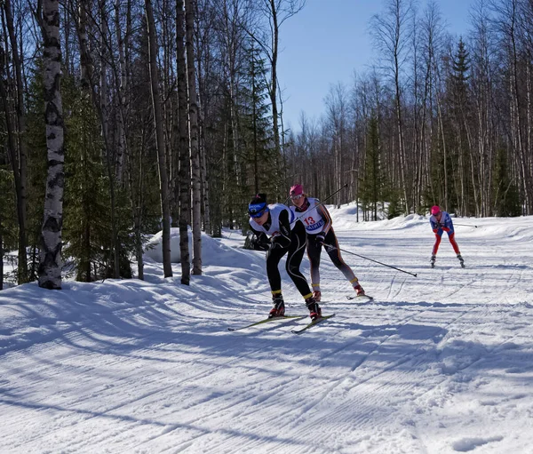 Rusia Volgodonsk Enero 2015 Esquioentrenamiento Esquís Deportes Invierno —  Fotos de Stock